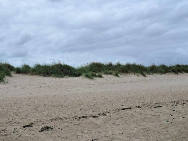 Dünen am Strand von Schillig Strand Schillig