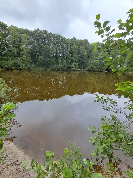 Wittmunder Wald Wittmunder Wald
