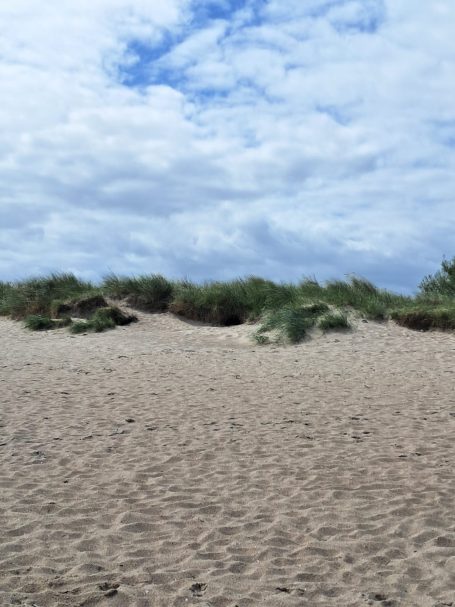 Dünen am Strand von Schillig Strand Schillig