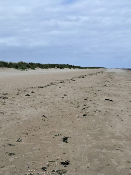 Strand Schillig Strand Schillig