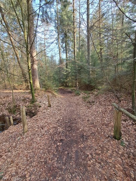 Wittmunder Wald Wittmunder Wald