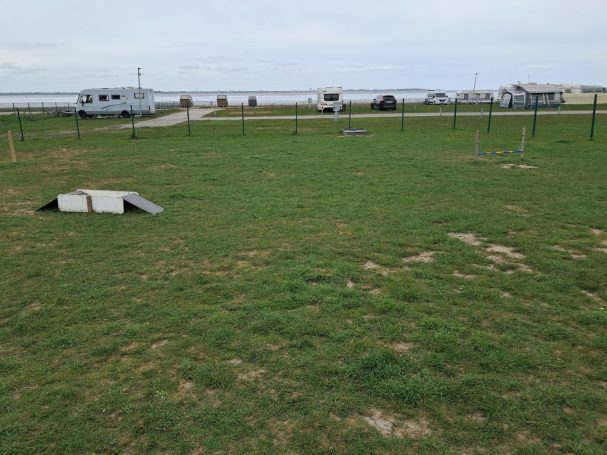 Hundefreilauf Dangast Hundefreilauf Dangast