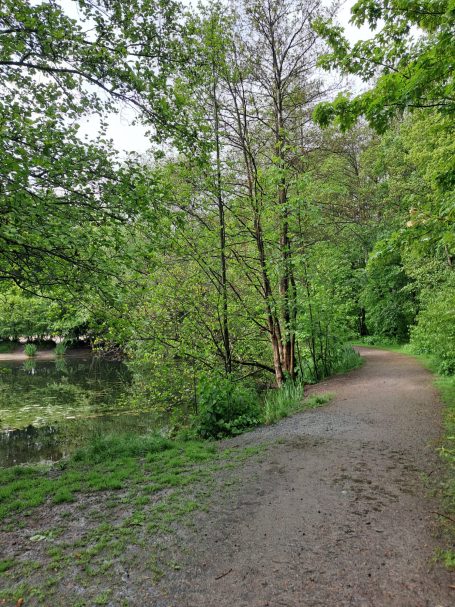 Hundefreilauf Schortens Hundefreilauf Schortens