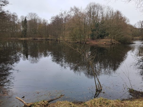 Hundefreilauf Schortens Hundefreilauf Schortens