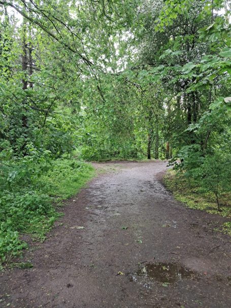 Hundefreilauf Schortens Hundefreilauf Schortens