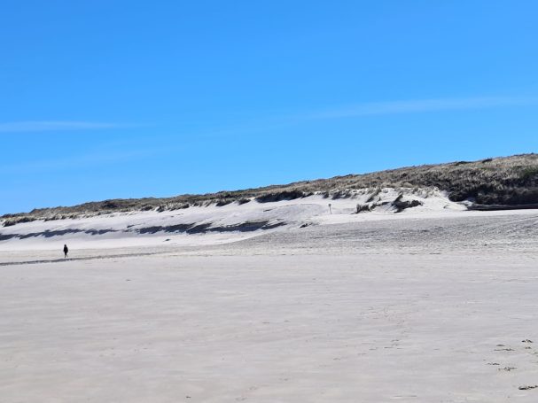 Hundestrand Wangerooge Hundestrand Wangerooge
